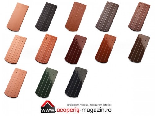 Solzi Jacobi Classic
